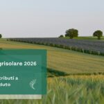 Agrisolare 2026: Tornerà il contributo fino all’80% per le aziende agricole?